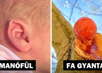 15+ felvétel, ami bemutatja, hogy az élet olyan, mint egy tündérmese