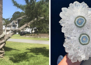 Az anyatermészet 19 alkotása, amely után minden sci-fi és fantasy film hülyeségnek tűnik