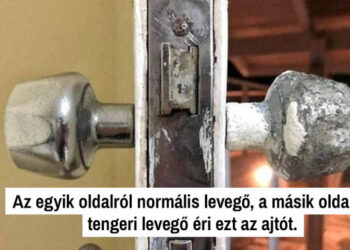 19 felvétel, mely többet mesél a világról, mint az iskolai órák