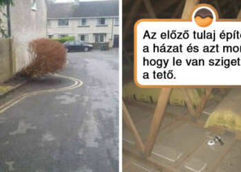 14 elcseszett meló olyan emberektől, akiknek a lustasága külön emlékművet érdemelne