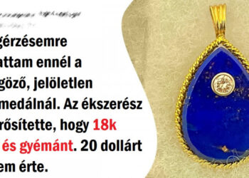 15+ személy, akik bebizonyították, hogy a kiegészítőkre való spórolós vadászat egy külön művészet