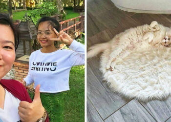 20+ felvétel, amik bizonyítják, hogy bármi nyomtalanul eltűnhet a megfelelő háttérrel