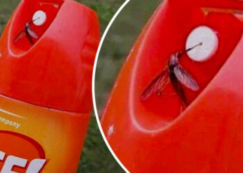 19 ironikus helyzet, amely emlékeztet minket rá, hogy milyen jól lehet szórakozni a váratlan problémákon