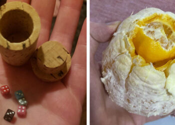 17 váratlan dolog, amelyet az ismerős tárgyak belsejében fedeztek fel az emberek