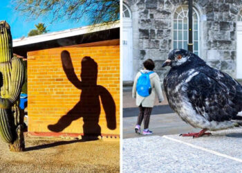 22 felvétel, amik megmutatják, hogy minden csak szögek kérdése