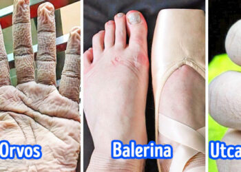 19 személy megmutatta, hogy milyen is valójában a munkájuk és annak hatásai