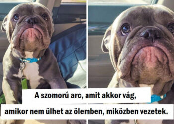 18 fénykép, amik növelik a boldogsághormonjaidat