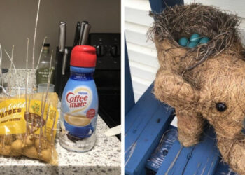 17 alkalom, mikor a természet behatolt az emberek életébe, és saját szabályok szerint kezdett játszani