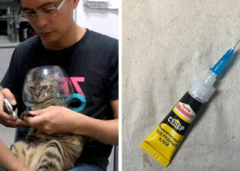 17 lifehack igaz zseniktől, akiknek úgy tűnik, hogy sikerült átverniük az életet