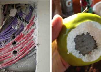 12 alak, akinek a balszerencse adott egy hatalmas pacsit reggel