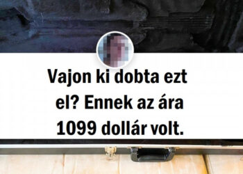 18 menő dolog, amelyet szó szerint a kukában találtak