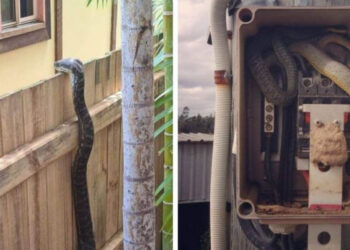 16 fotó Ausztráliából, ami után be nem teszed a lábad az országba