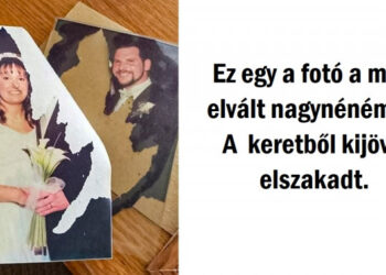 15 felvétel, ami bemutatja, hogy a véletlen bármikor, bárkivel megtörténhet