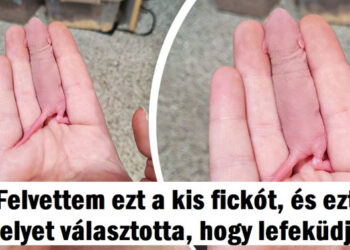 20 alkalom, mikor a perspektíva annyira eltorzult, hogy még az agyunkat is megzavarta