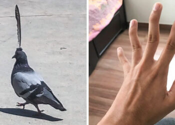 20 alkalom, mikor az anyatermészet vad vezetői döntéseket hozott