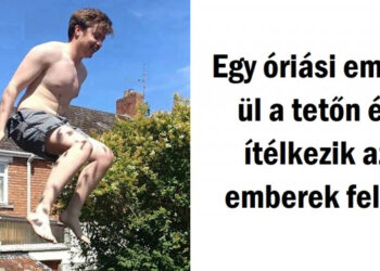 15 felvétel, amely még a sasszeműeket is összezavarhatja