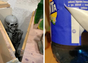 18 alkalom, mikor az emberek kíváncsiságát izgalmas meglepetésekkel jutalmazták