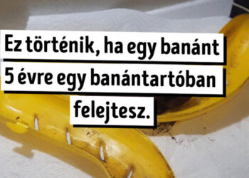 20 alak, akinek sikerült látványos választ kapnia néhány érdekes “mi történik, ha…” kérdésre