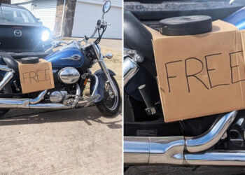 25 személy, aki elég szerencsés volt ahhoz, hogy bámulatos dolgokat szerezzen meg ingyen