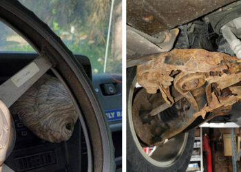 15 borzalmas fotó, amely kiverte az autószerelőknél a biztosítékot