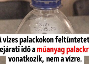 15+ dolog, amelyet mindenképpen tudnod kell, amennyiben te akarsz lenni a legokosabb ember a szobában