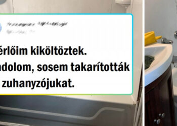 16 ember, akik nagyszerű munkát végeztek és végre megtisztítottak valamit, amire már túlságosan ráfért