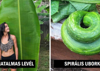 15 fénykép, ami megörökítette az anyatermészet soha véget nem érő képességét, hogy lenyűgözzön minket