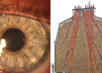 16 hétköznapi tárgy, amely új szemszögből nézve felkeltette a figyelmünket