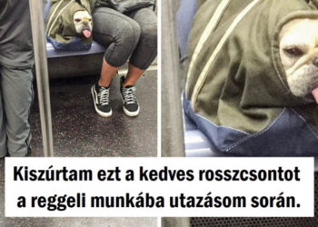 20+ fotó, amik 100%-ban normálisnak tűnnek, amíg közelebbről meg nem nézed őket