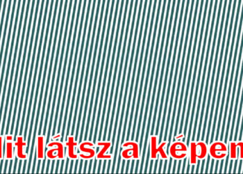 12 optikai illúzió rejtett állatokkal, hogy ellenőrizd a látásod (tanács: hunyoríts)