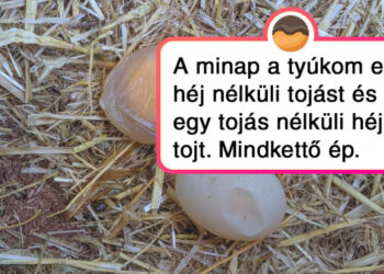 15 felvétel, mely bebizonyítja, hogy a világ minden nappal egyre furcsább és furcsább