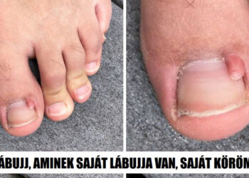 15 felvétel, ami megtölti a szemedet a világunk csodáival