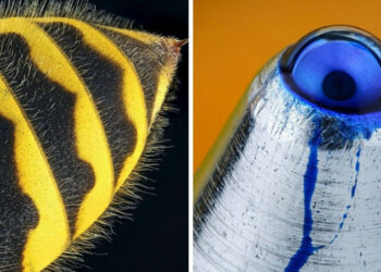 15+ felvétel, amik megmutatják, hogy még a leghétköznapibb dolgok is teljesen másképp néznek ki közelről