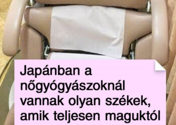 19 izgalmas dolog Japánból, mely láttán tátva marad a szánk, míg a helyiek csak unottan ásítoznak