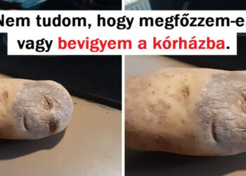 15+ furcsa dolog, ami szemtelenül leutánzott valami egészen mást