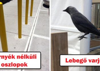 20 felvétel, melyek olyan hamisnak tűnnek, mint egy repülő tehén, de valójában valódiak