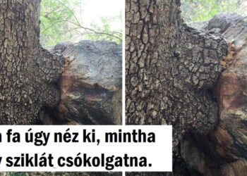 15 átlagos nap, amelyet Földanya egy meglepetéssel fűszerezett meg