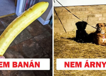 15 fotó, amely bemutatja, hogy nem minden az, aminek látszik