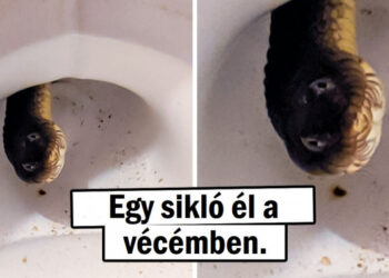 20 felvétel, amik segítségével totálisan új szemszögből láthatod a világot