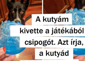 16 felvétel, amely bebizonyítja, hogy az élet tele van iróniával