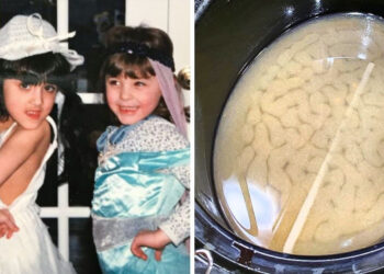 16 zavarba ejtő fénykép, mely miatt megálltunk és közelebbről megnéztük őket