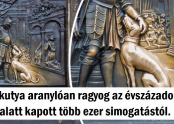 15 felvétel, amely miatt más szemszögből fogsz nézni a dolgokra