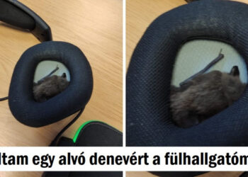 20+ felvétel, mely elgondolkodtatott minket, hogy mi folyik itt valójában