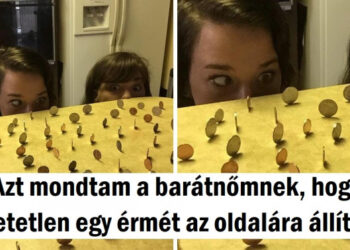 15 sztori, amely akkor történt, mikor az esélyek olyan kicsik voltak, mint egy hangya lába