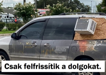 15 alak, aki olyan helyzeteket örökített meg, melyek olyan viccesek, mint egy hordó majom