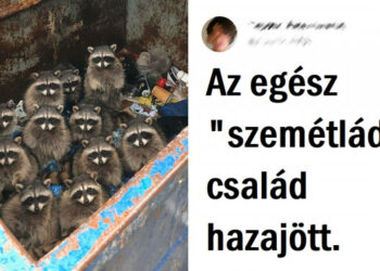 15+ fénykép, melyek bizonyítják, hogy az univerzum mindenkinek tartogat egy kis meglepetést