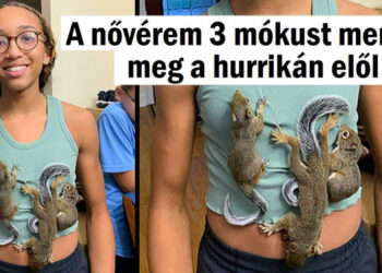 16 édes lélek, akik sosem félnek attól, hogy kedvesek legyenek