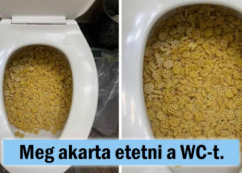 15 alkalom, mikor a gyermekek bebizonyították, hogy ők a legtehetségesebb komikusok