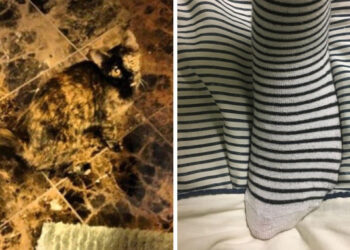 15 dolog, mely tökéletesen illeszkedik a környezetéhez