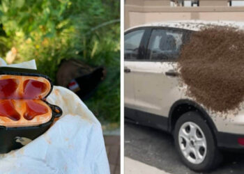 14 személy, aki élete egyik legrosszabb napját élte át